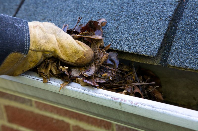 Clogged Gutter Clearing in Longmont, CO
