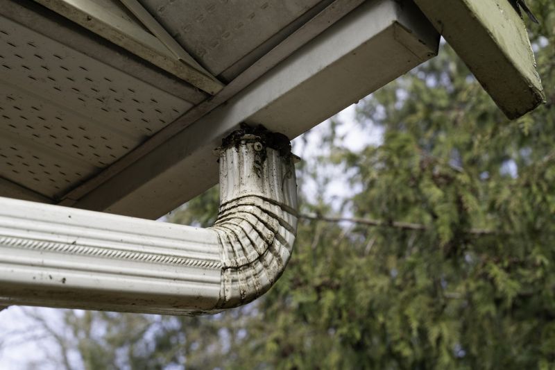 Downspout Snaking in Boulder, CO