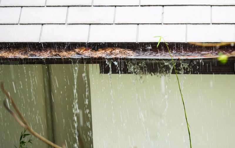 Gutter Blockage Removal in Arvada, CO
