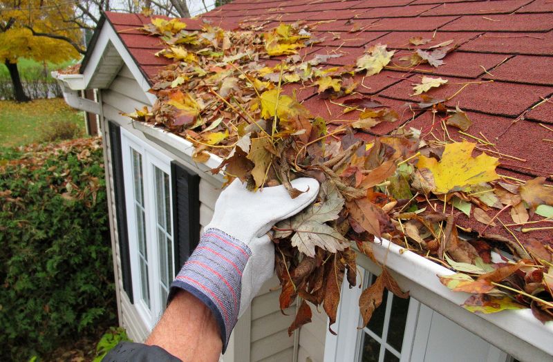 Gutter Leaves Removal in Baltimore, MD