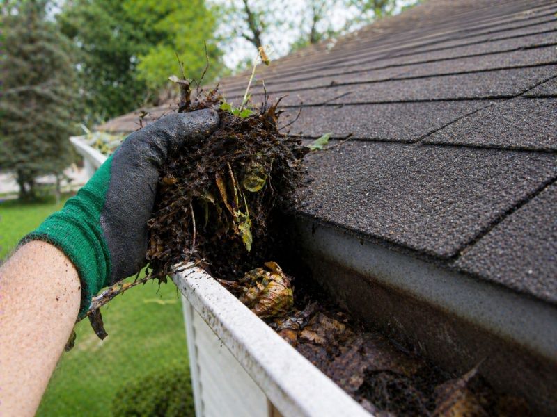 Gutter Leaves Removal in Pittsburgh, PA