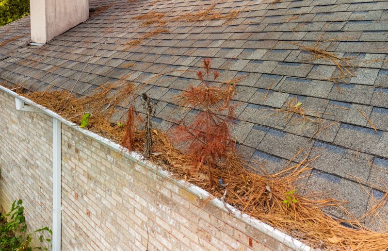Gutter Pine Needle Removal in Westchester County, NY