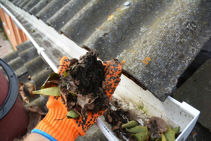 Commercial Gutter Unclogging in Littleton, CO