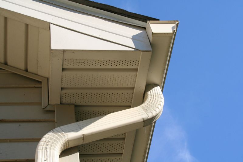 Downspout Snaking in Long Island, NY