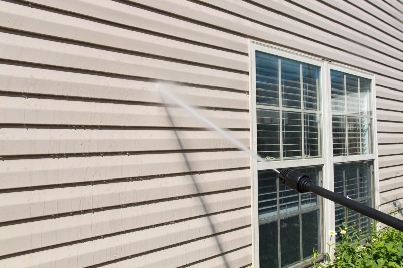 Townhouse Pressure Washing detail