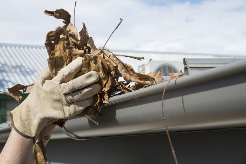 Gutter Leaf Clearing in Richmond, VA