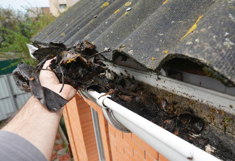Gutter Leaves Removal in Fredericksburg, VA