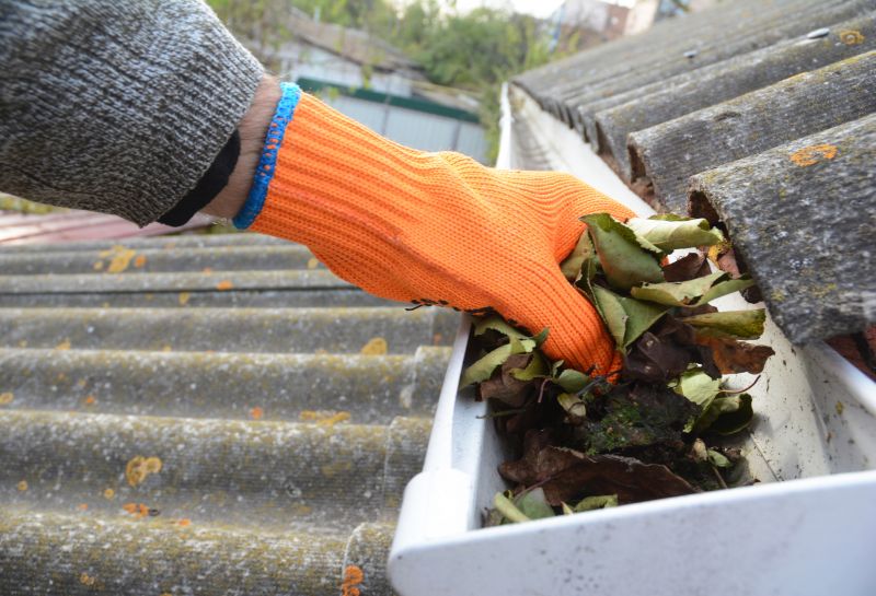 Gutter Leaves Removal in Baltimore, MD