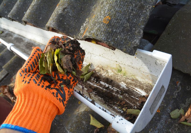 Gutter Maintenance in Richmond, VA