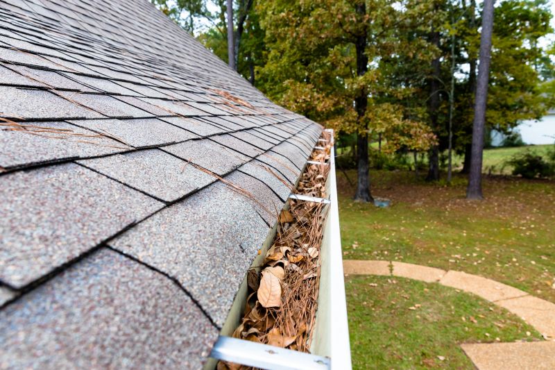Gutter Pine Needle Removal in Annapolis, MD