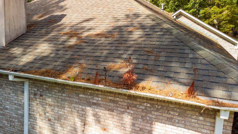 Gutter Pine Needle Removal in Pittsburgh, PA