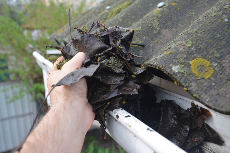 Rain Gutter Clearing in Boulder, CO