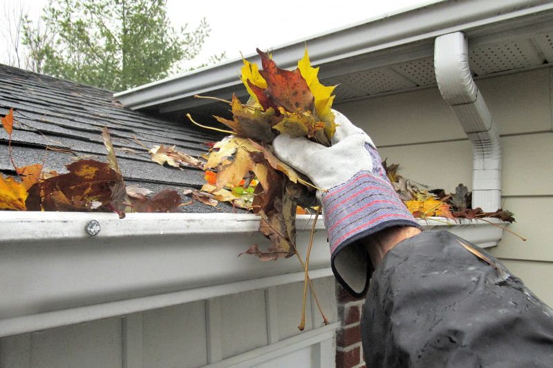 Roof Gutter Cleaning in Frederick, MD